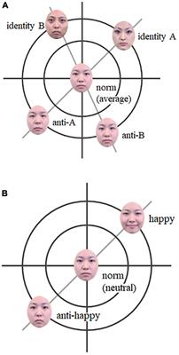 Face identity and facial expression representations with adaptation paradigms: New directions for potential applications
